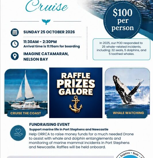 Whale Cruise