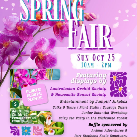 Spring Fair